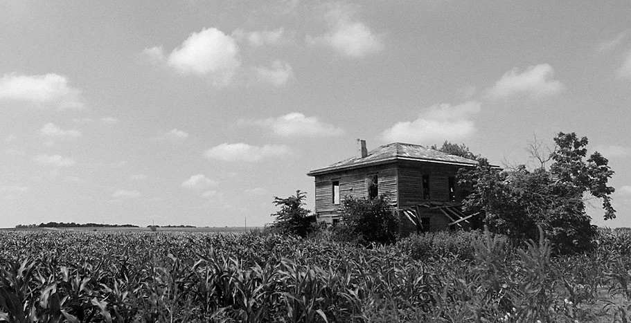 Overgrown House (Sep 1982)