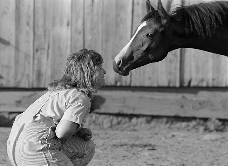 Face to Face (Sep 1982)