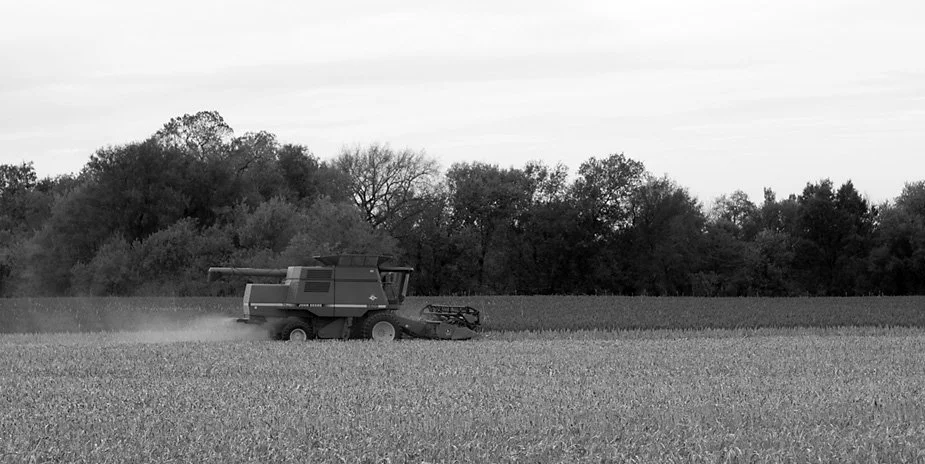 Harvesting (Oct 2019)