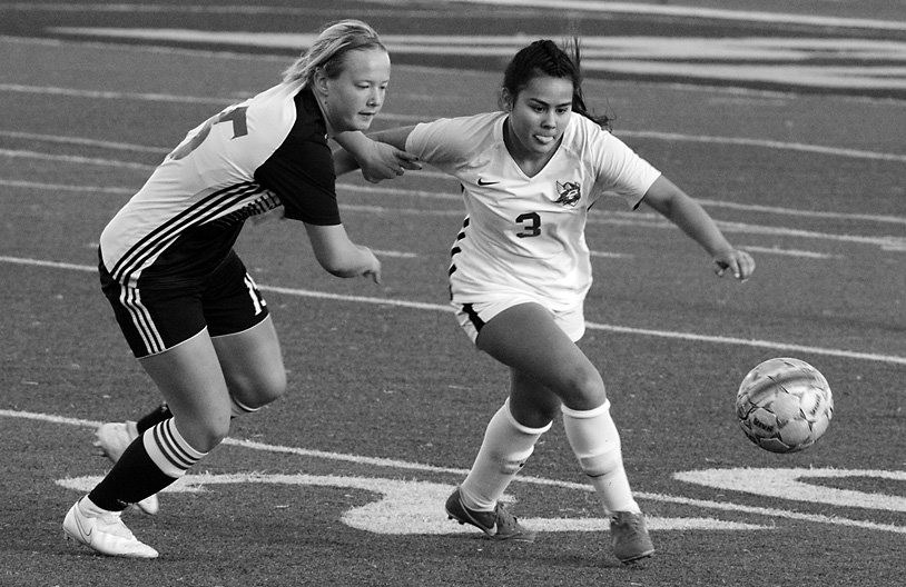 Pursuing the Ball (Nov 2019)