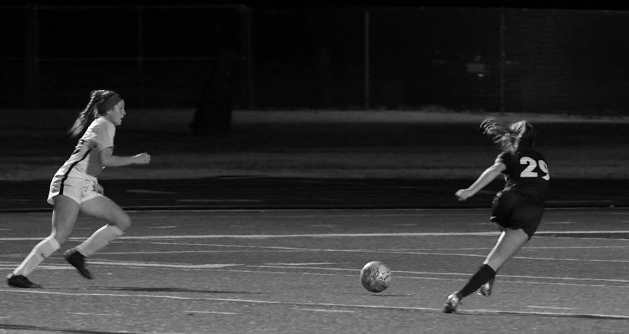 In the Open Field (Nov 2019)