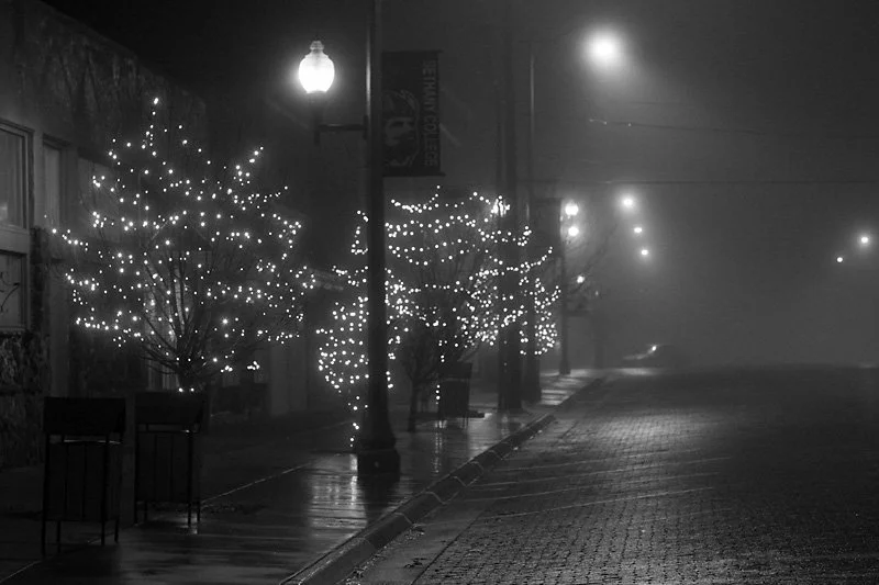 Christmas Lights in the Fog (Jan 2020)
