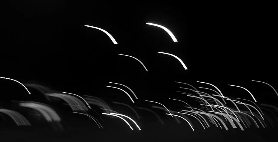 Salina Lights 3 (Feb 2020)