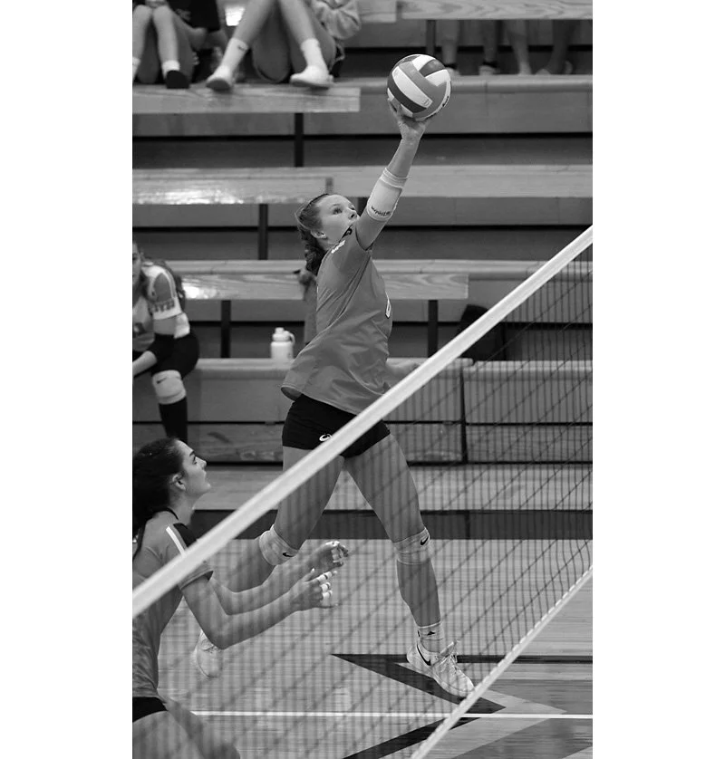 Above the Net (Oct 2024)