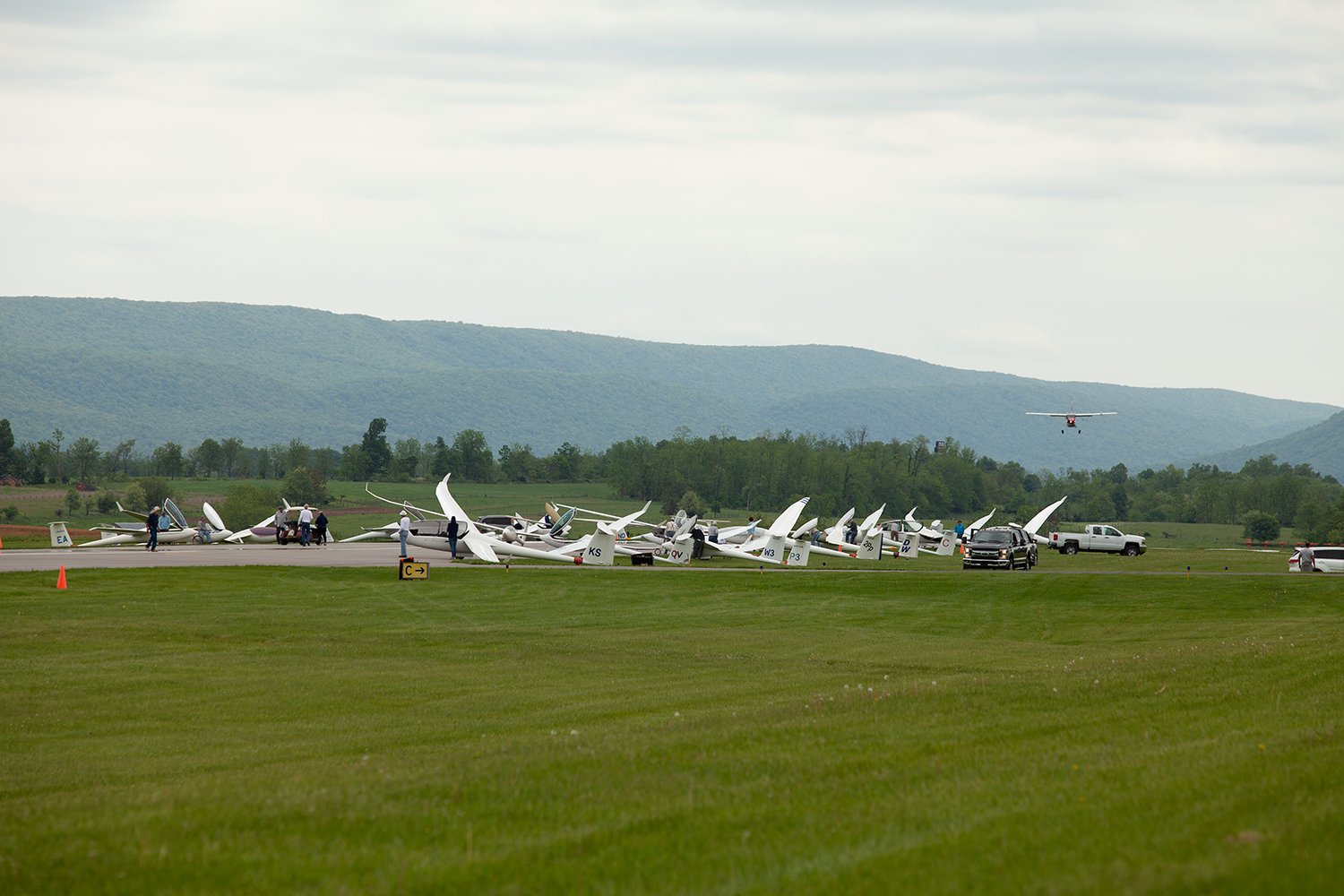 IMG_8457.jpg