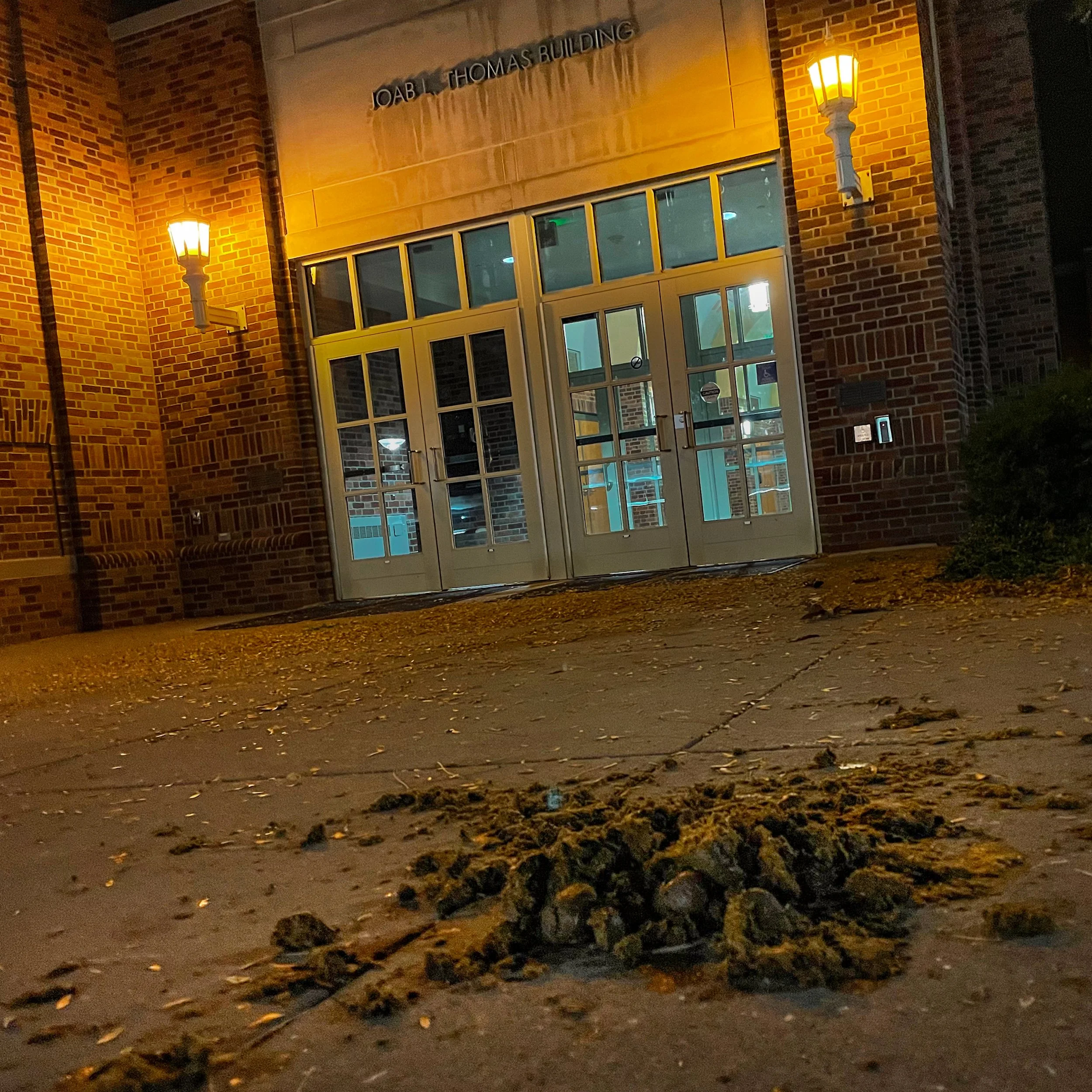 Police Horses Were Here
