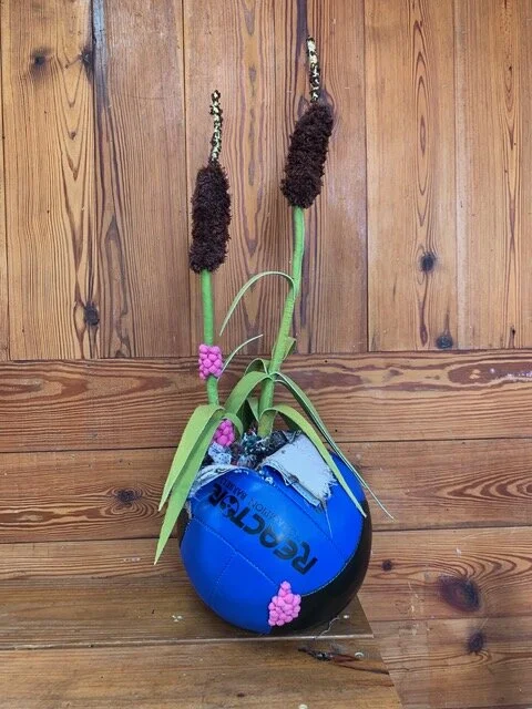 Alissa Alfonso Cattails.jpeg