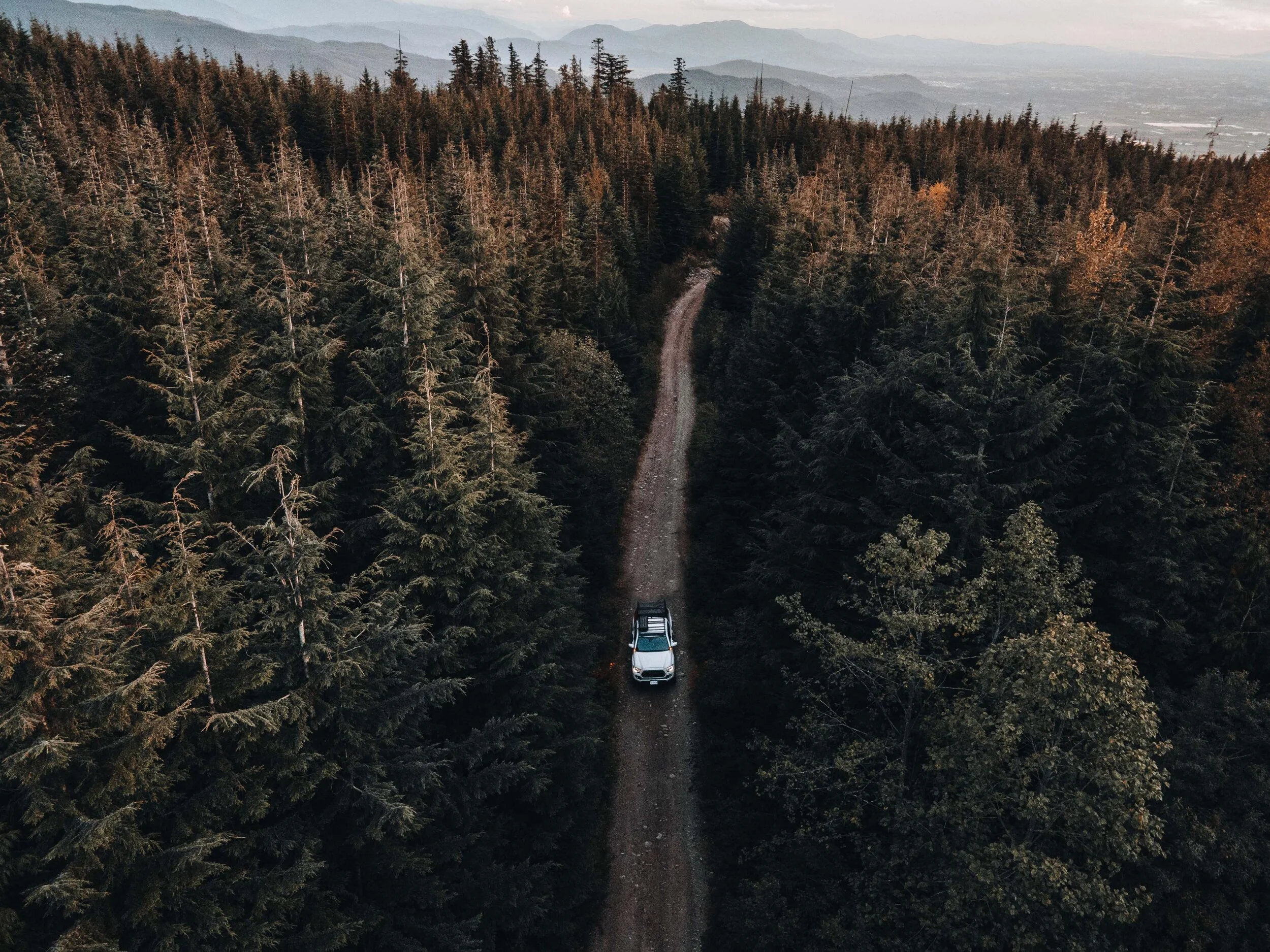 DJI_0101.jpge.jpg