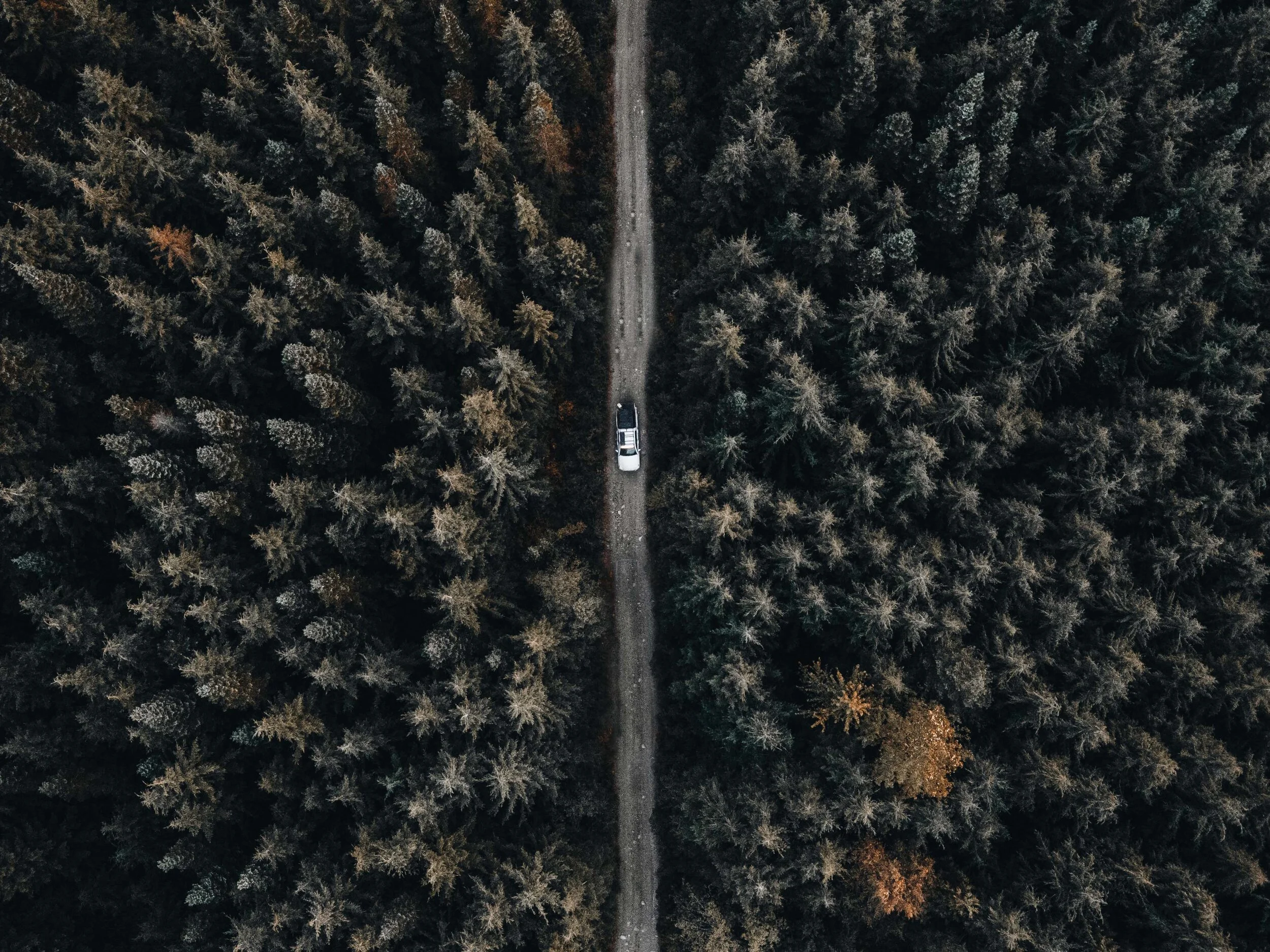 DJI_0107.jpgq.jpg