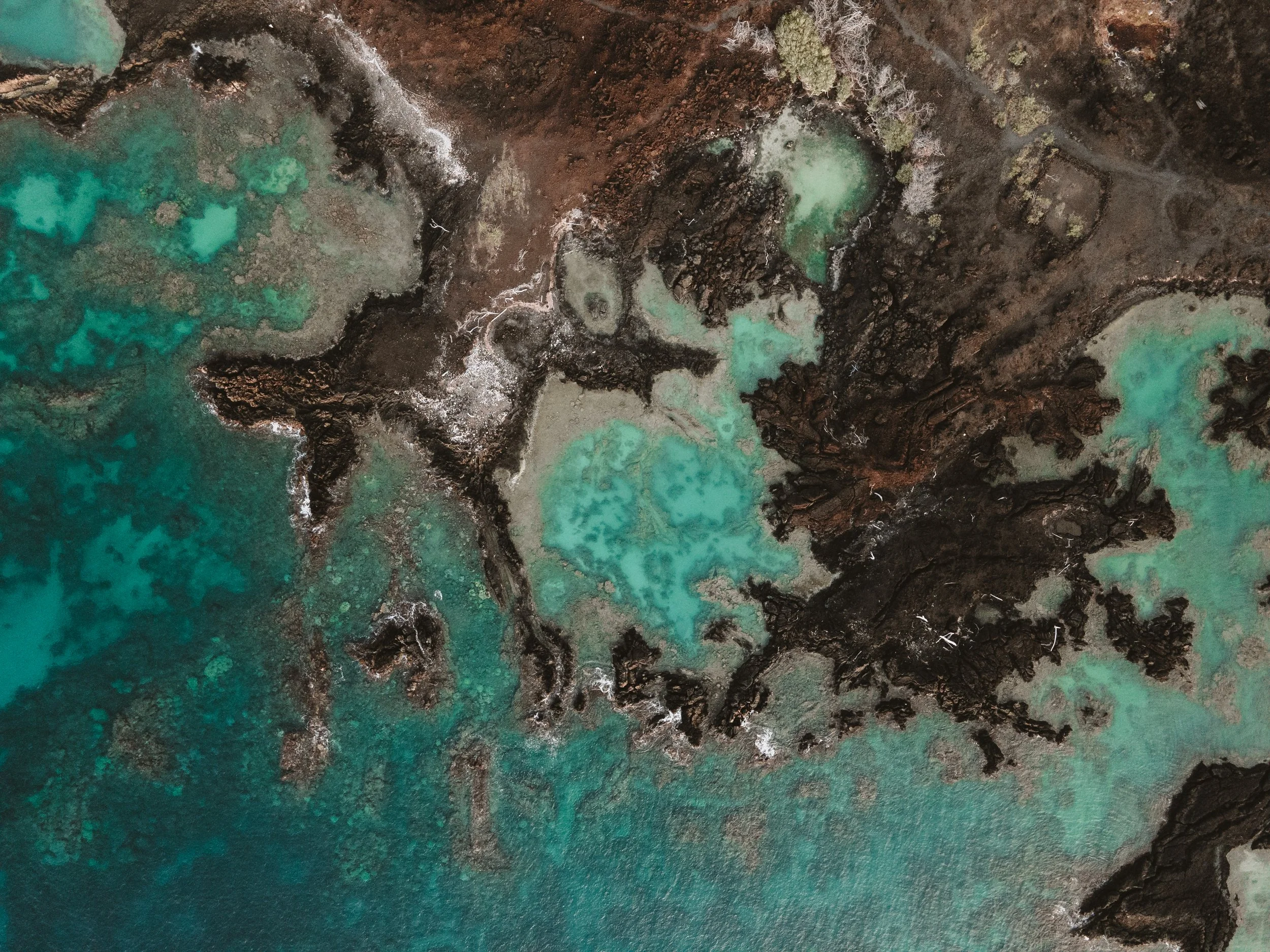 DJI_0258.jpg
