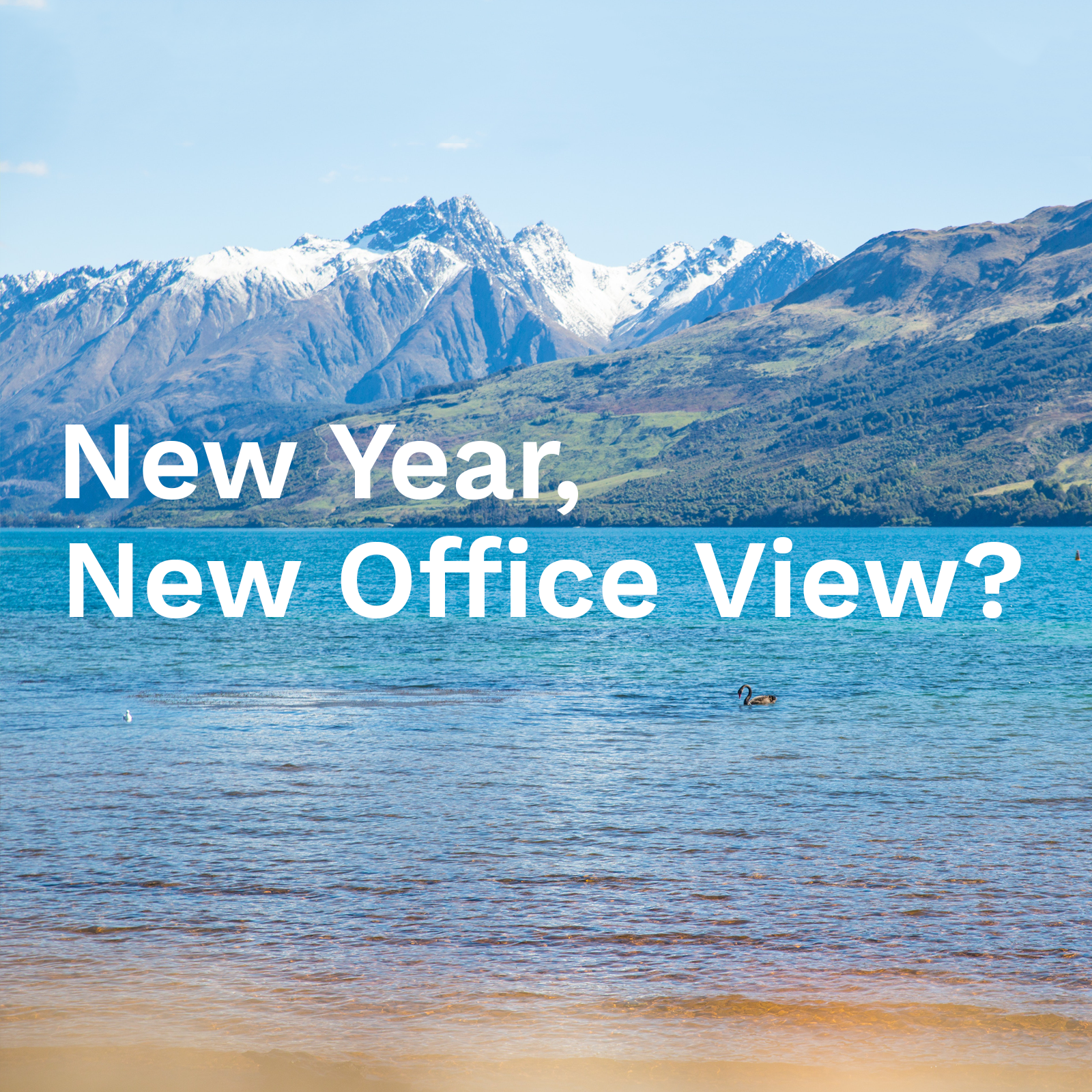 New Year, New Office View?
