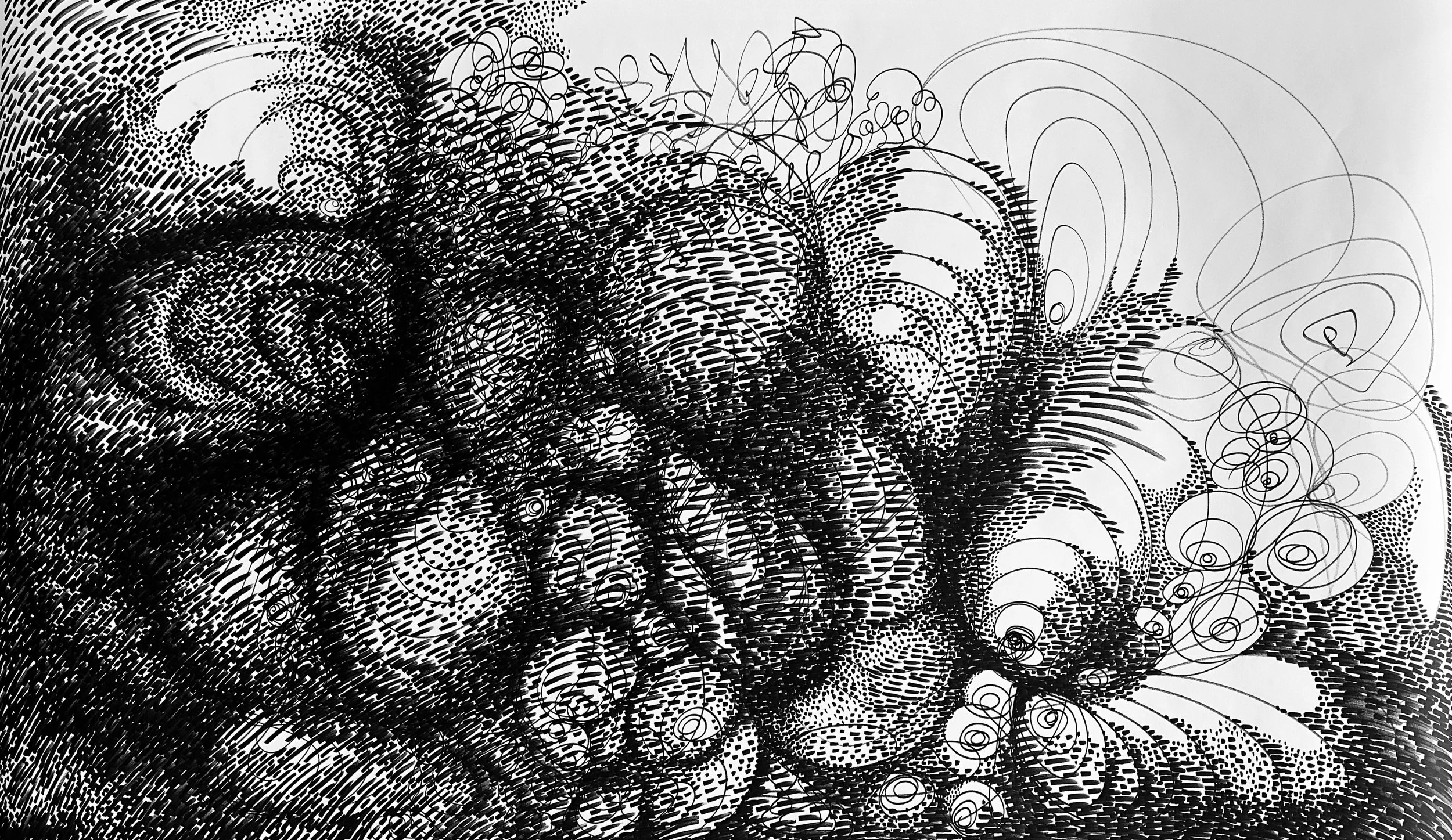 untitled (05.05.2024)