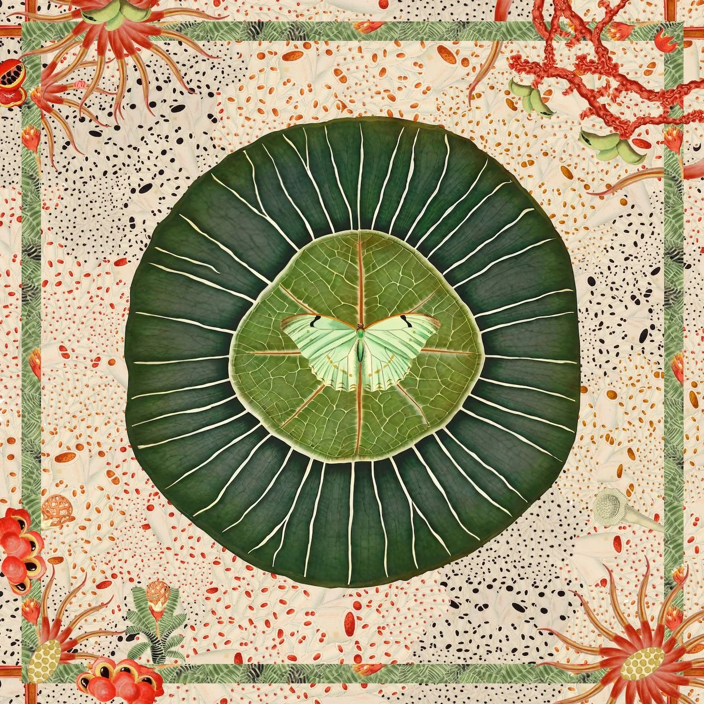 WhatsApp Image 2025-11-03 at 11.58.23.jpeg