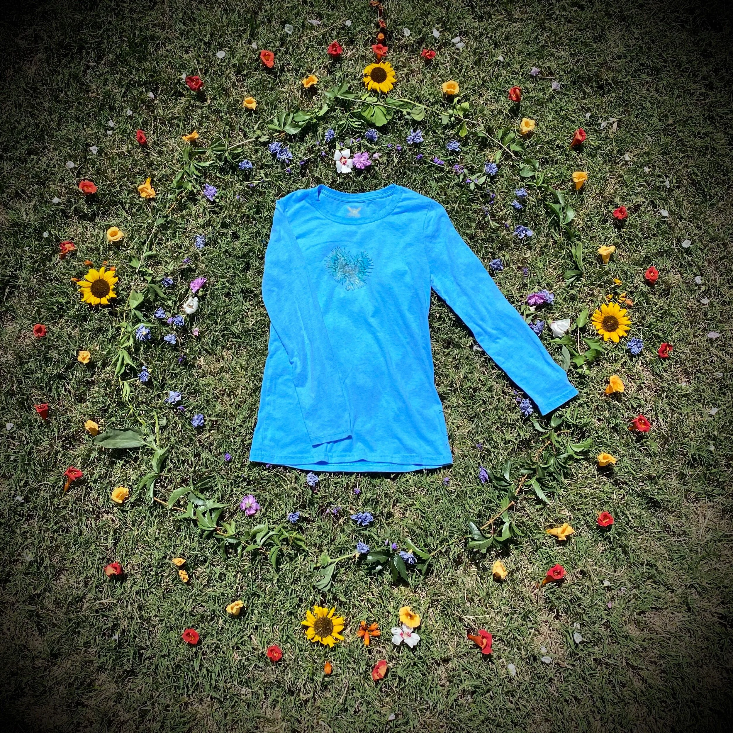 05B5A6DE-4184-4C49-BB8A-9E5213886441