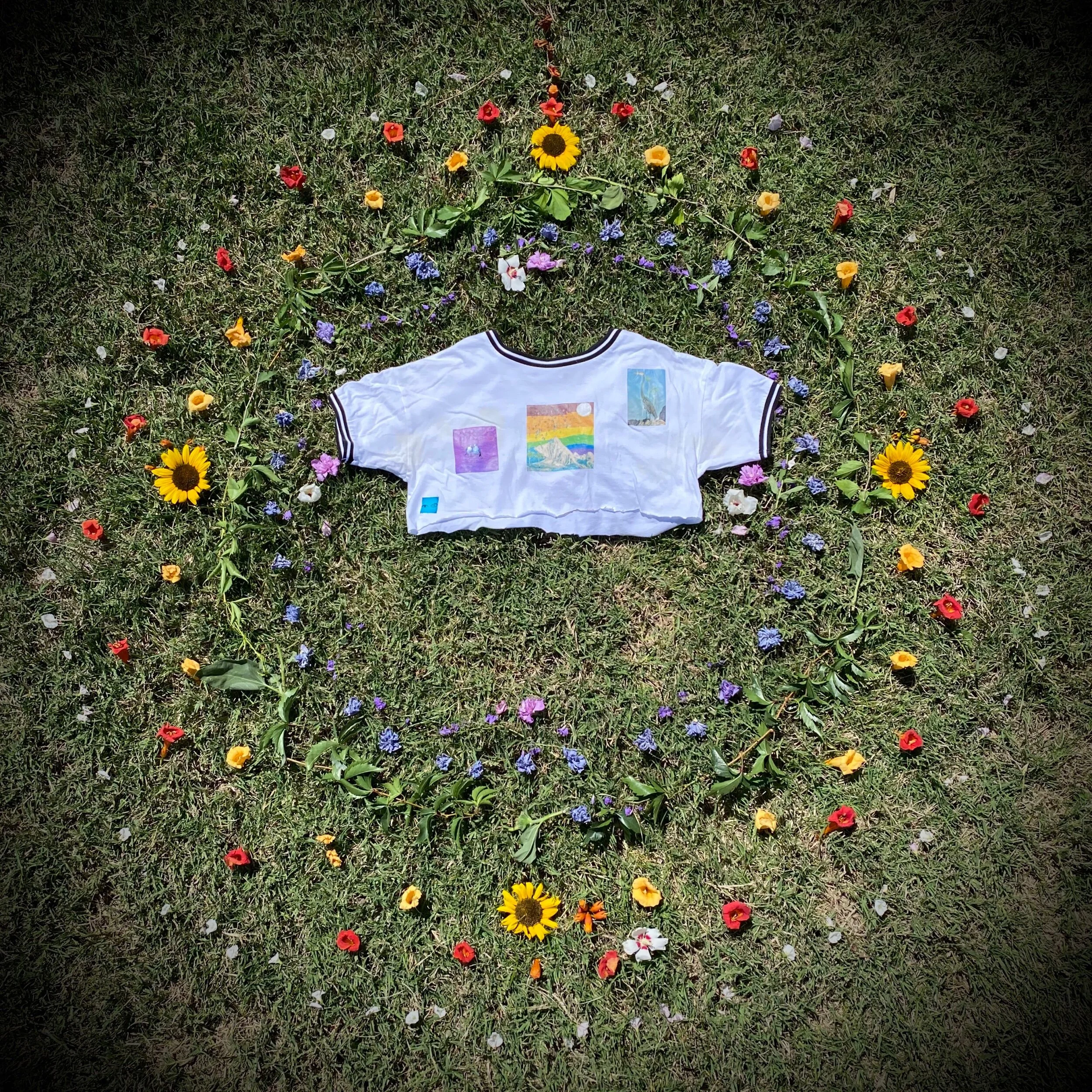 E9BE2BD3-2053-4884-9D8F-C535B98917CF