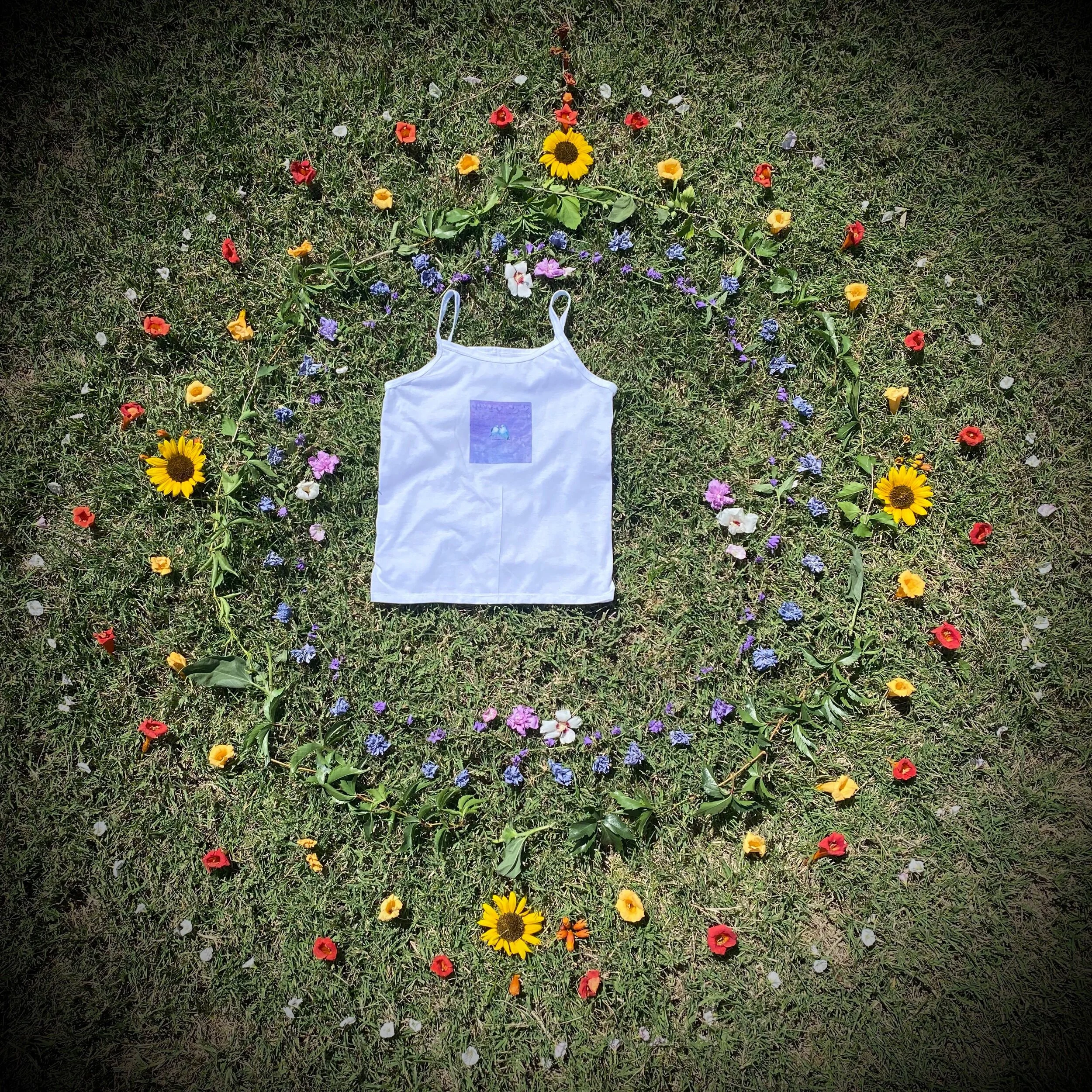 DA9F4459-4DD3-43F1-91FD-F1B20514F6A9