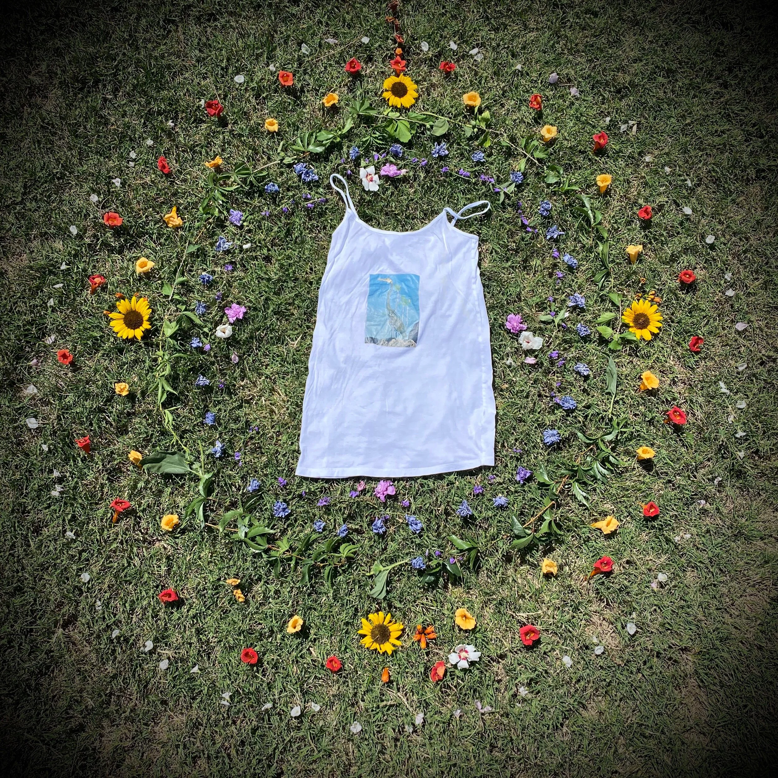 9BCA6DB4-7EBD-4754-97EA-01542E987ABE