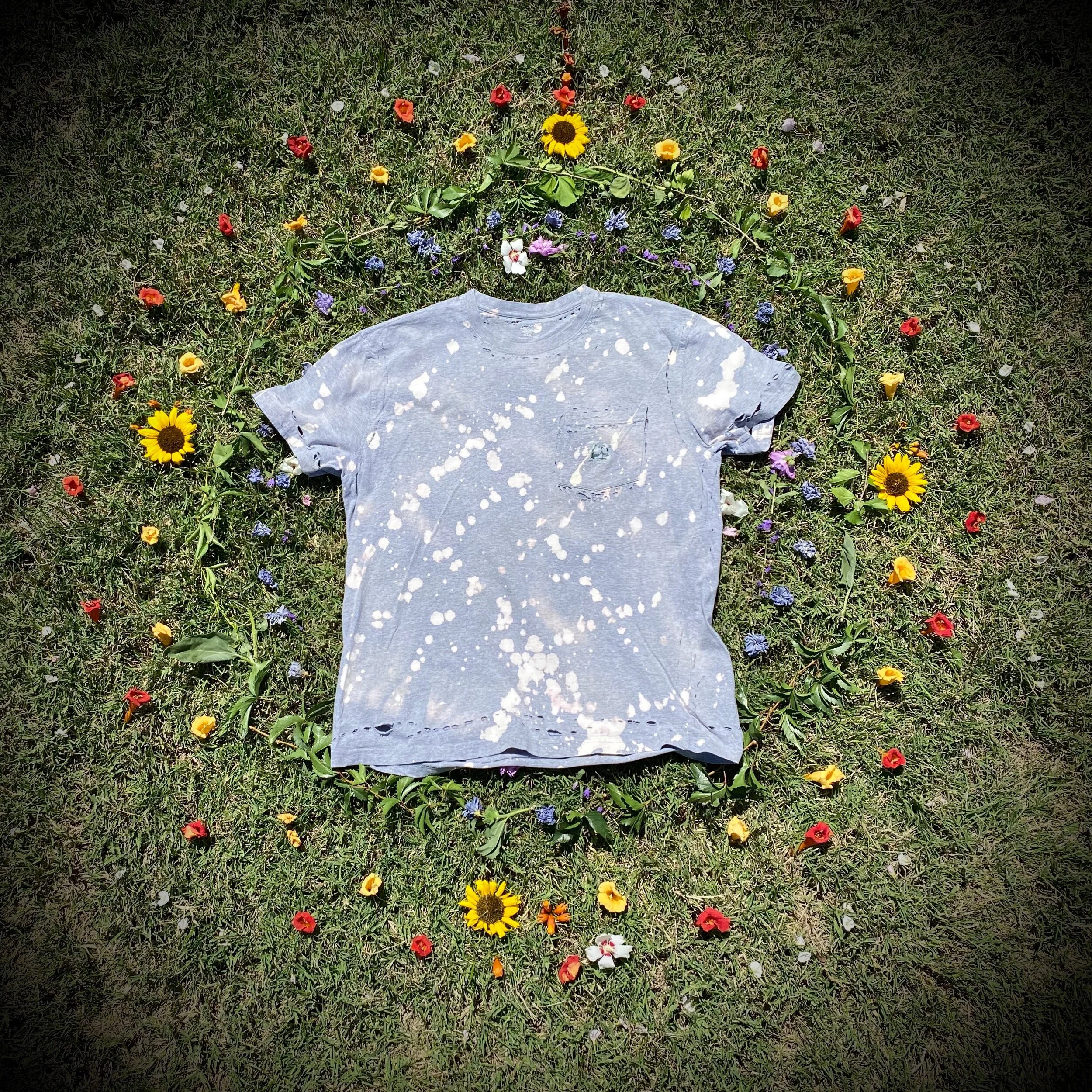 ED15E0ED-A16C-4091-99A6-3E9D5AD30675