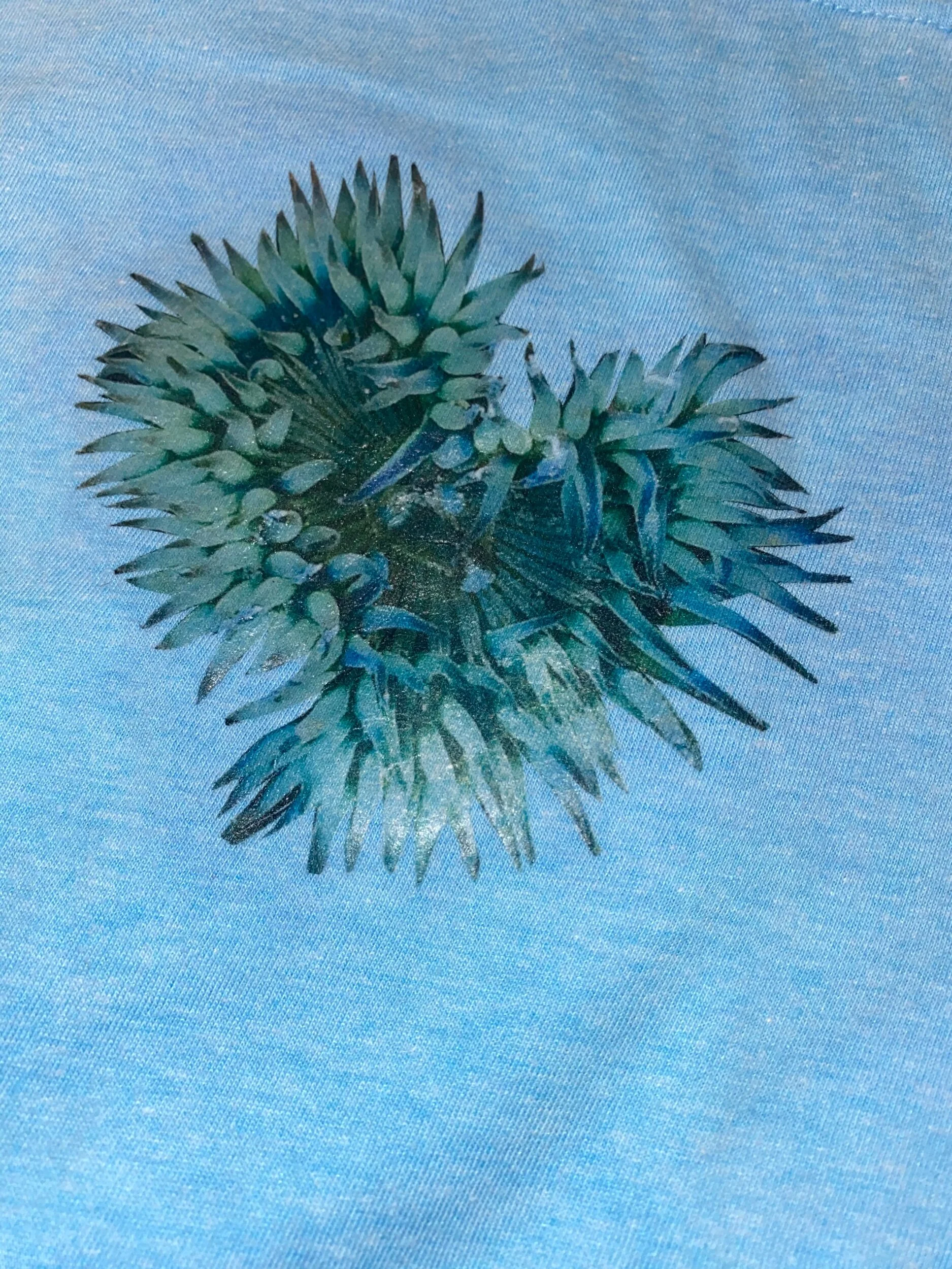 46D9BF1F-472A-43B9-81F9-A99C04112D4B