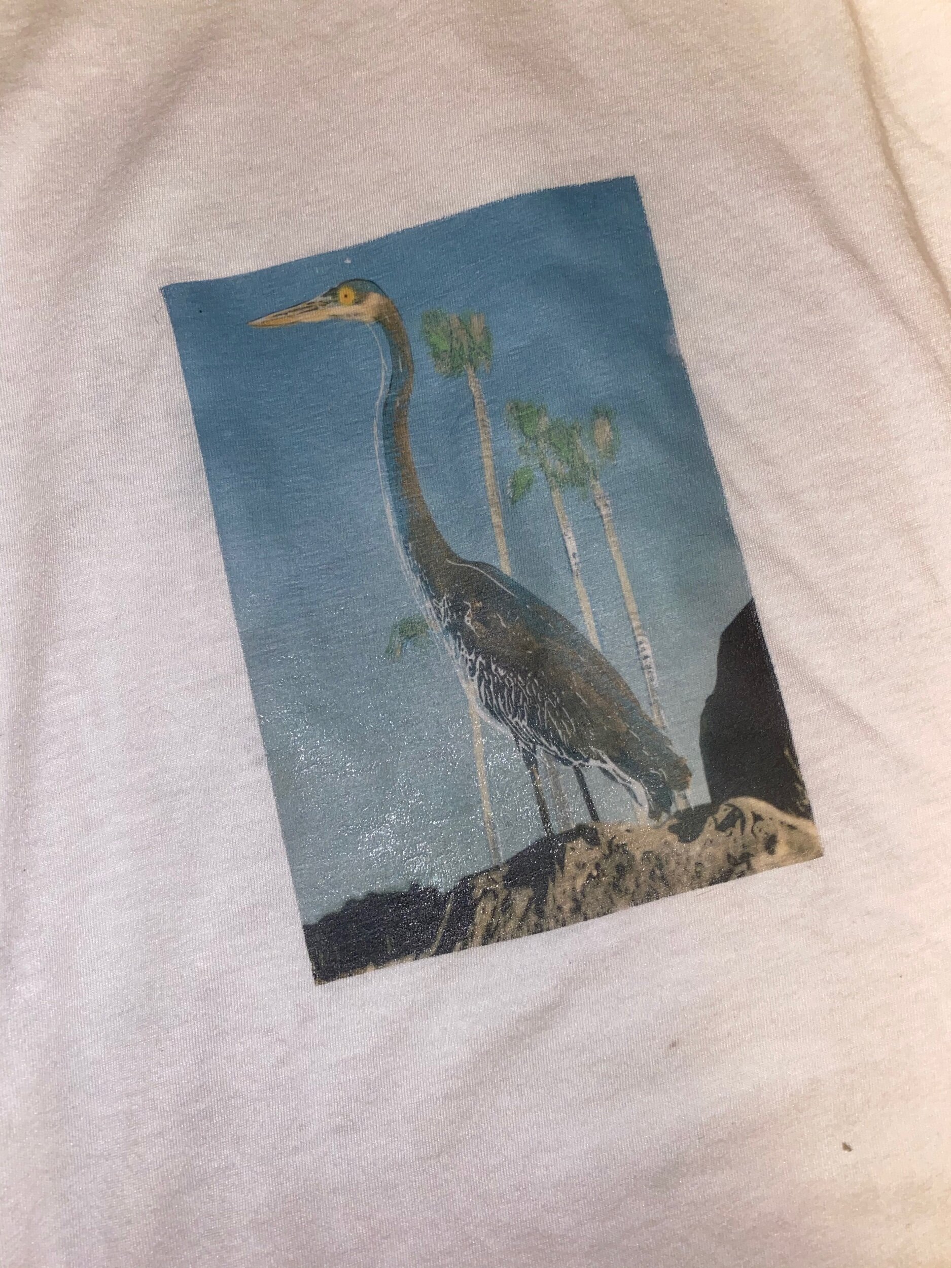 FD40D068-61B5-4FD8-AFAC-1D8E5C5758D6