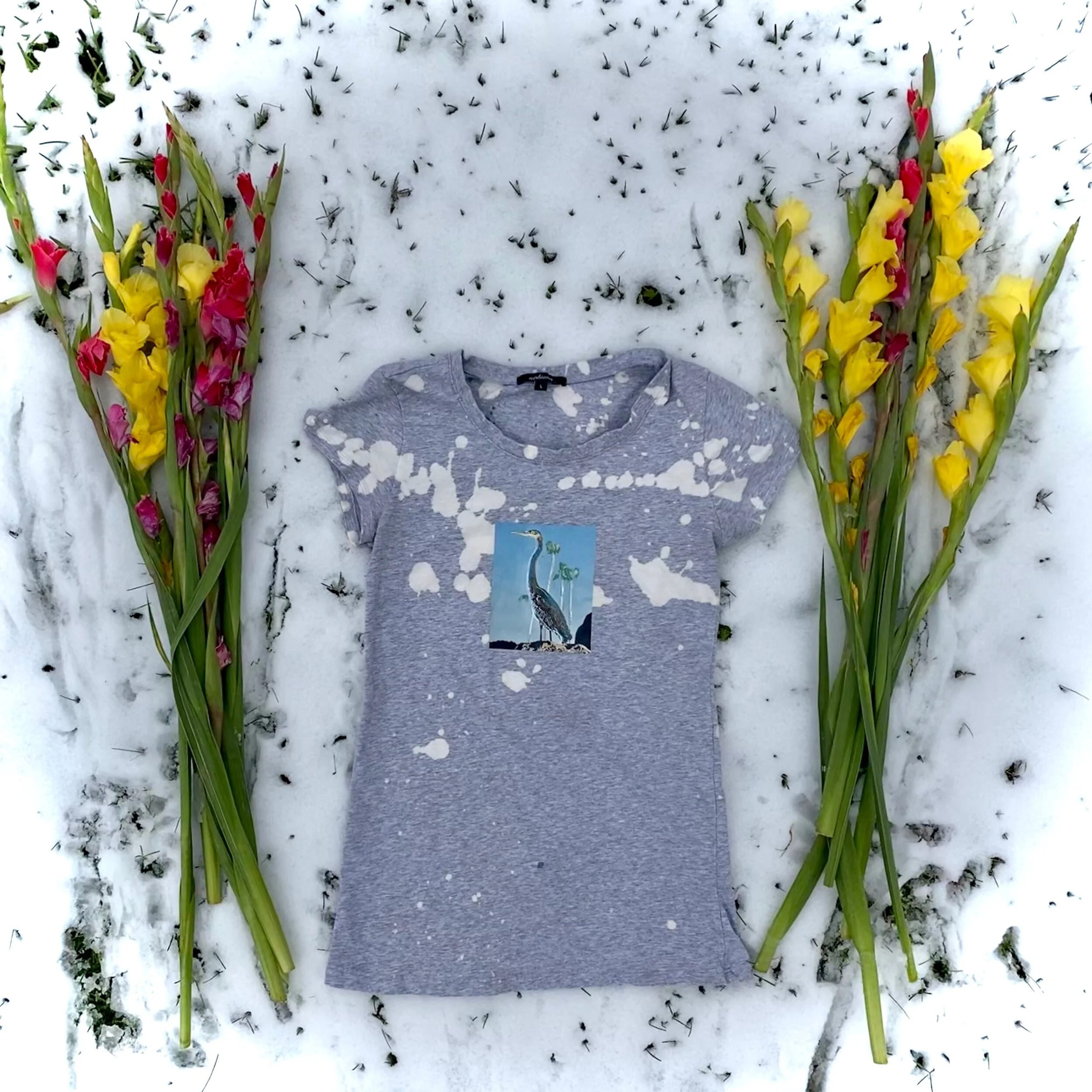 33E42043-D5B3-4D60-B4A2-15CCD0FEF3E9