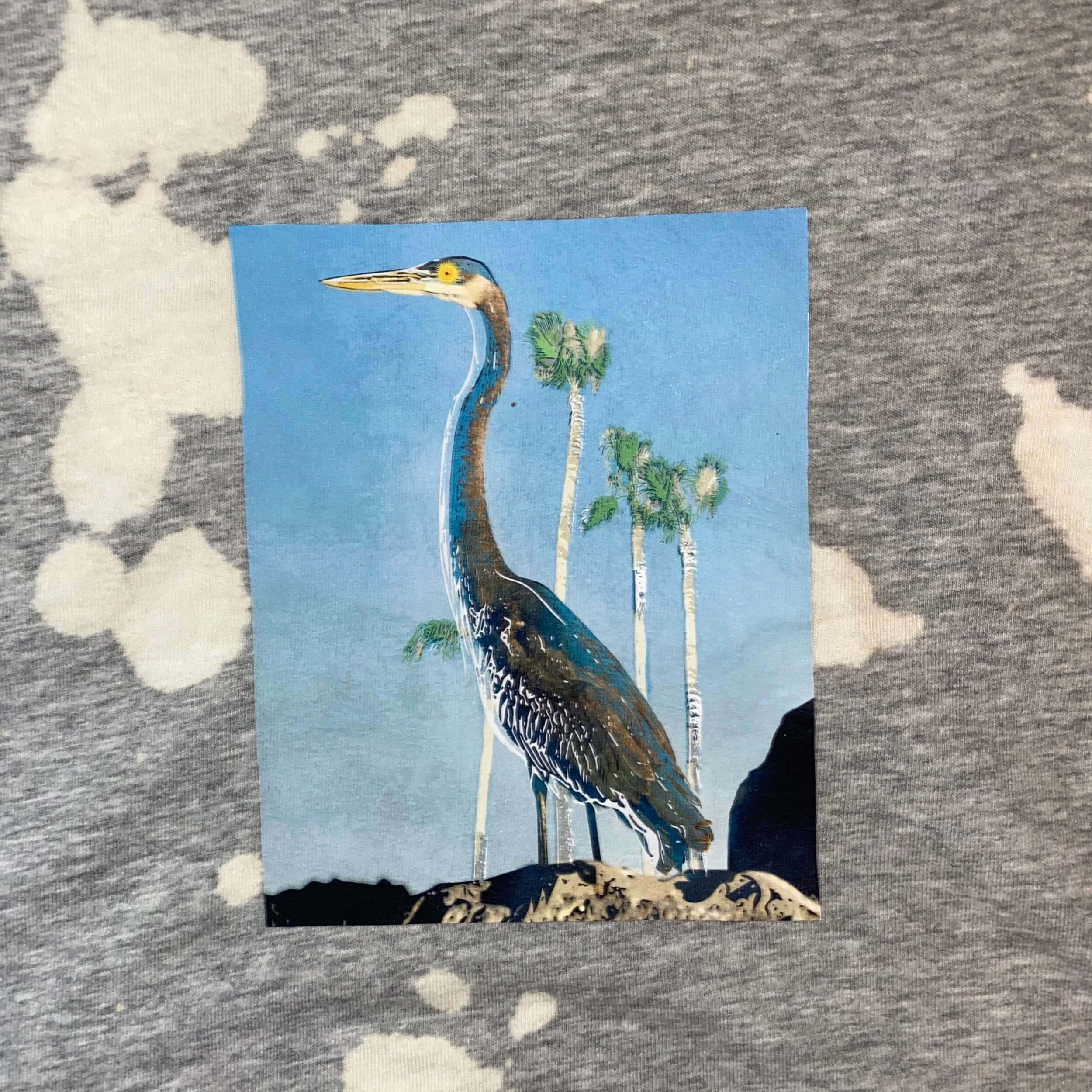 B62F8519-21C1-4A6C-8830-53F8AF3237AB