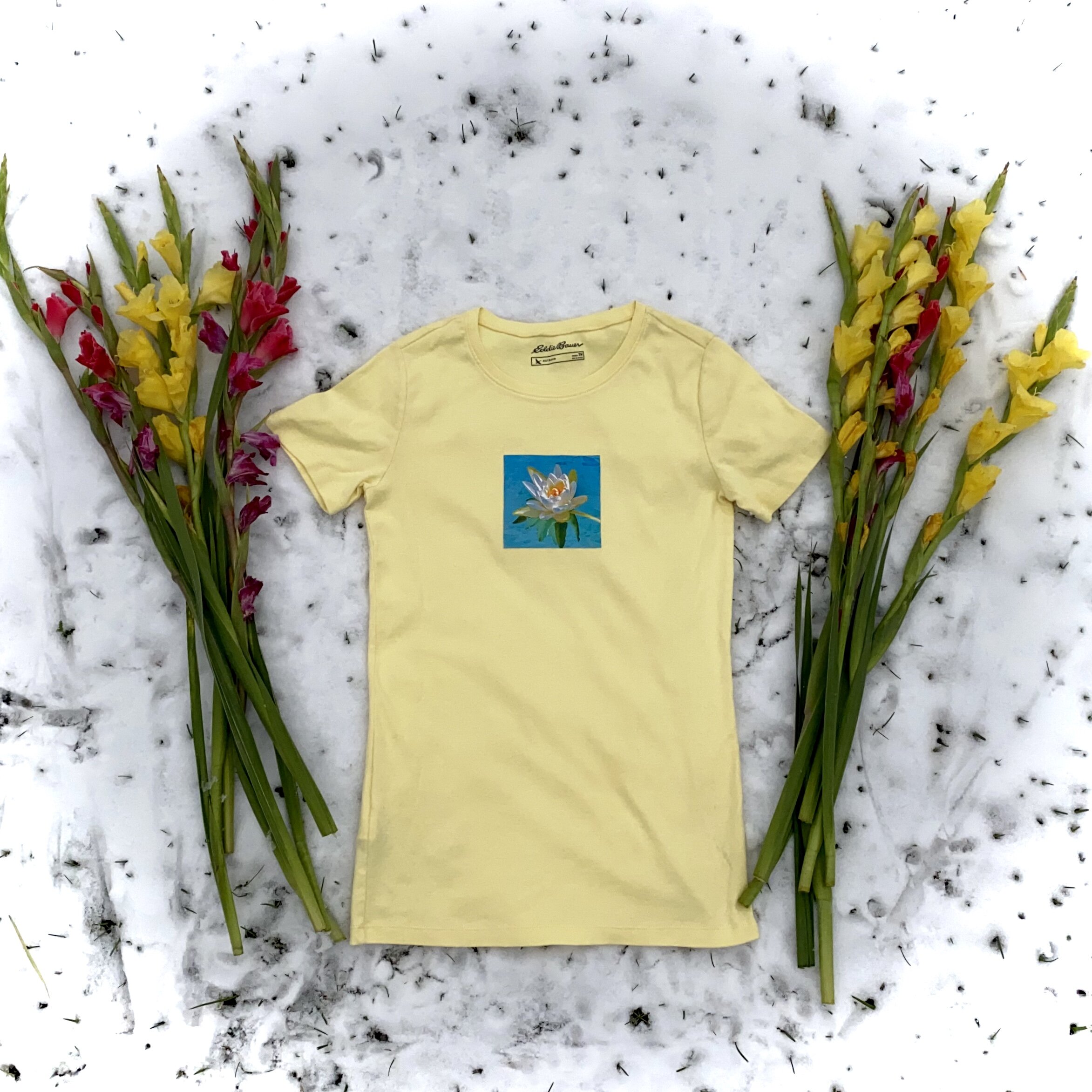 66161AF7-D35A-4DDE-AED4-2CB6F5396E83