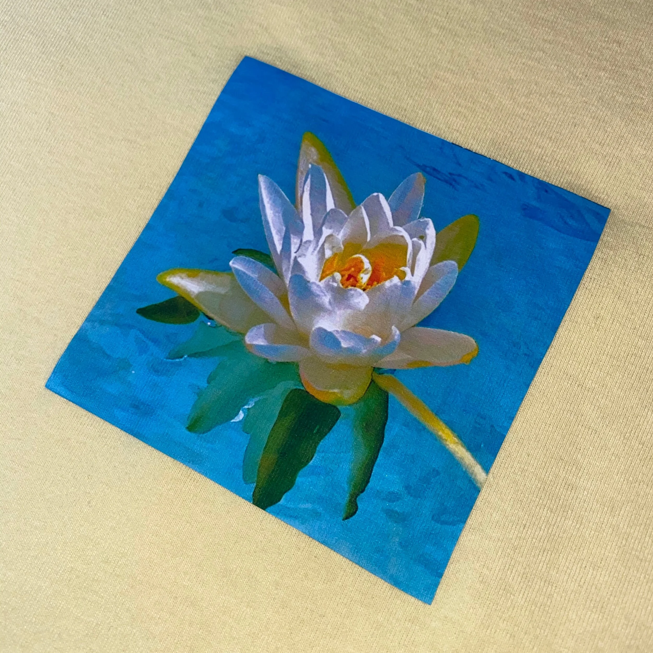 0BABE64B-50BB-4222-9C56-08E71D6452FE