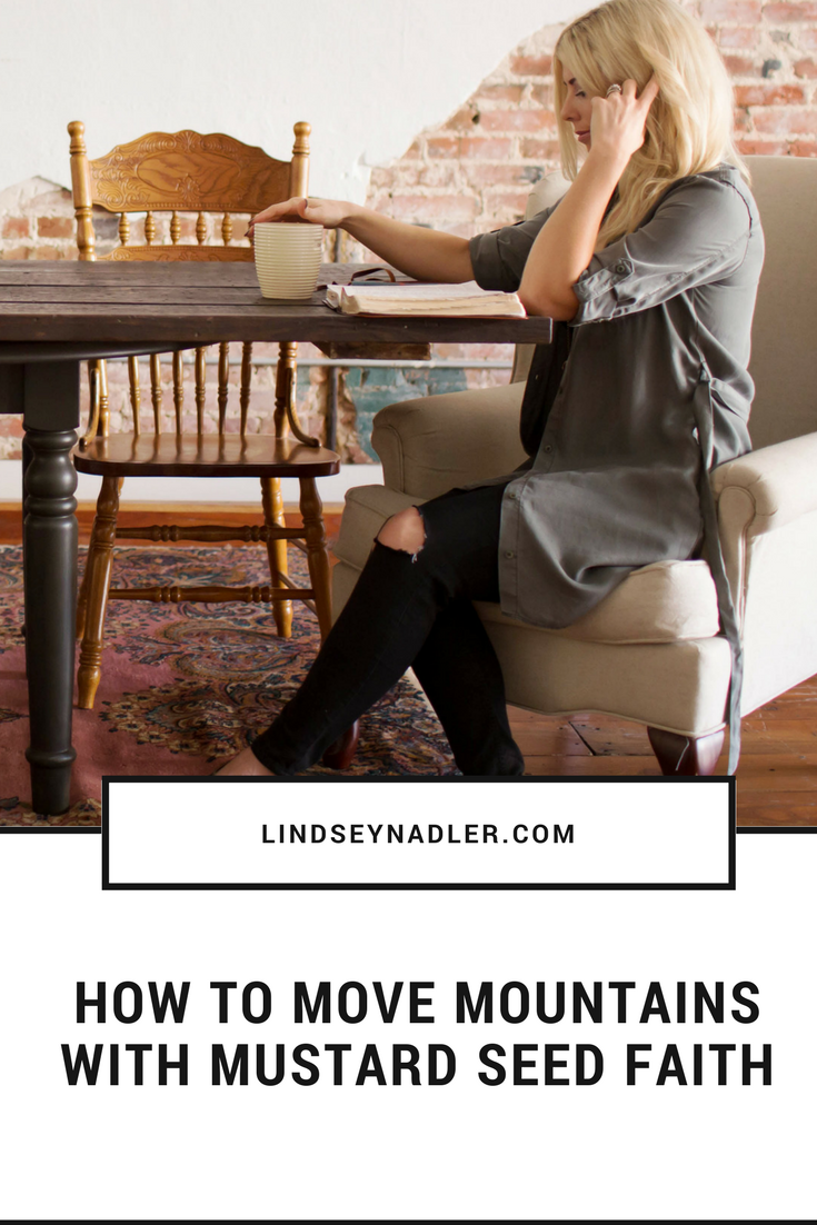 Speaking To Mountains with Mustard Seed Faith lindseynadler.com/blog