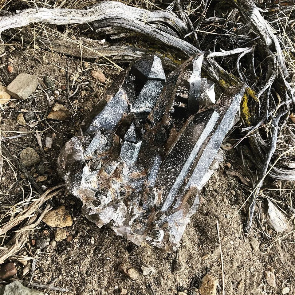 A Procession of Other Collective Stigmas