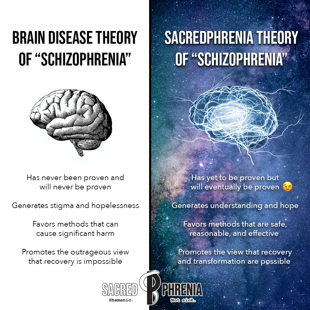 Beyond the Brain Disease Theory of "Schizophrenia"