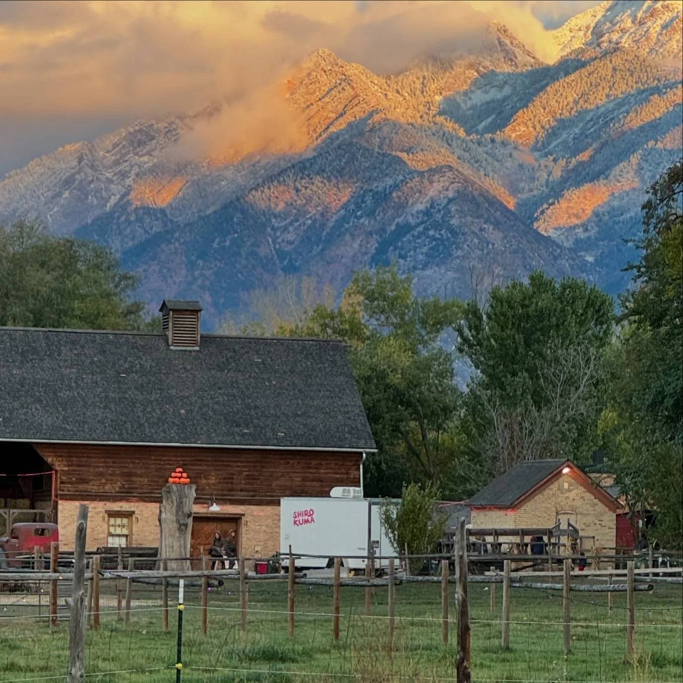 Just a beautiful crisp fall evening…serving up some warm and yummy bubble waffle @wheelerhistoricfarm for Food Truck Friday Pumpkin Days. 
We’ll be here until 9PM!