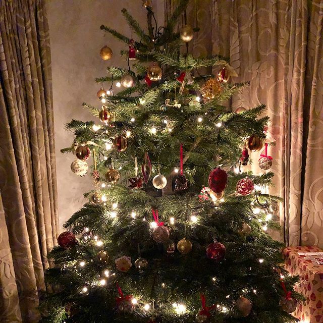 Happy Christmas all! I&rsquo;ll never get enough of the delight of Christmas morning ✨
#christmasmorning #sleepysnuggles #excitedlittles #letthembelittle #momentsofdelight