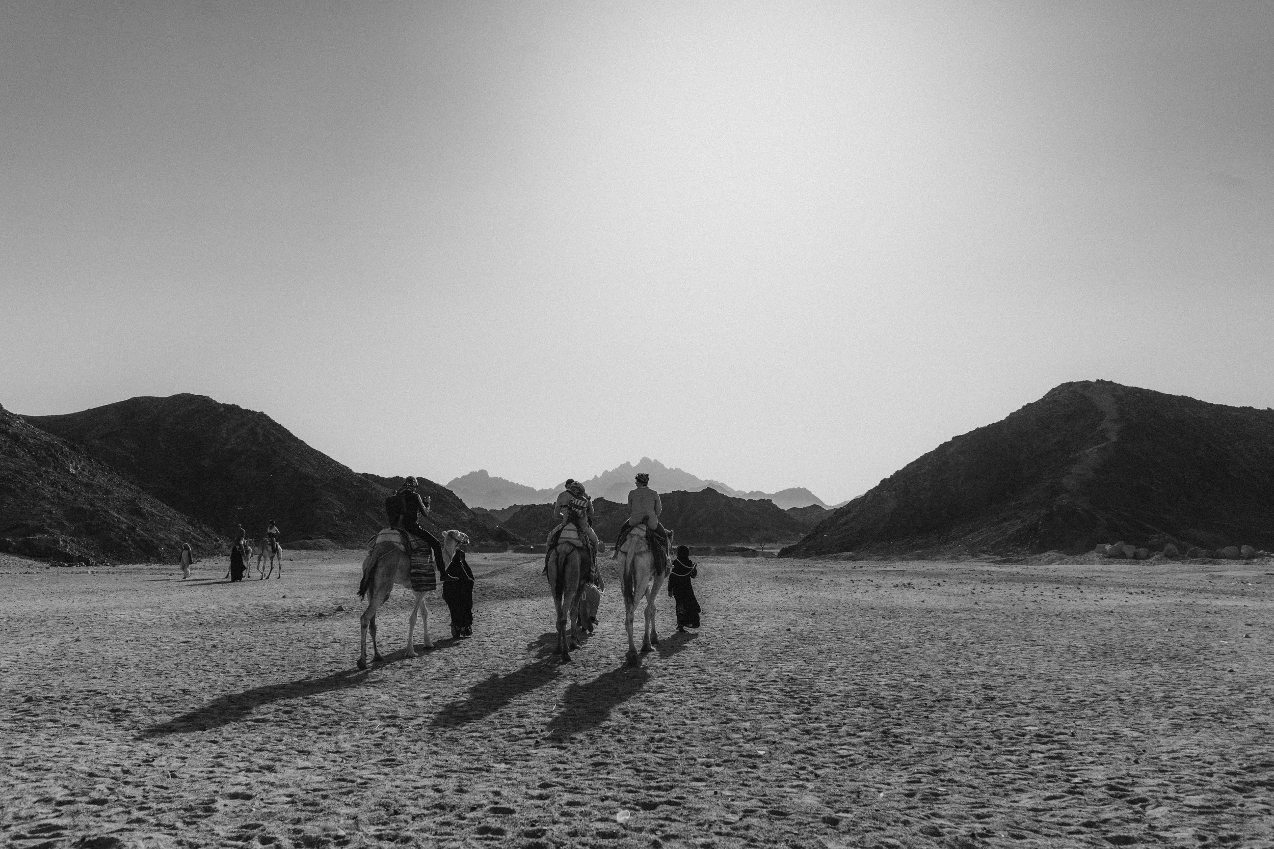 Ägypten 2019-179.jpg