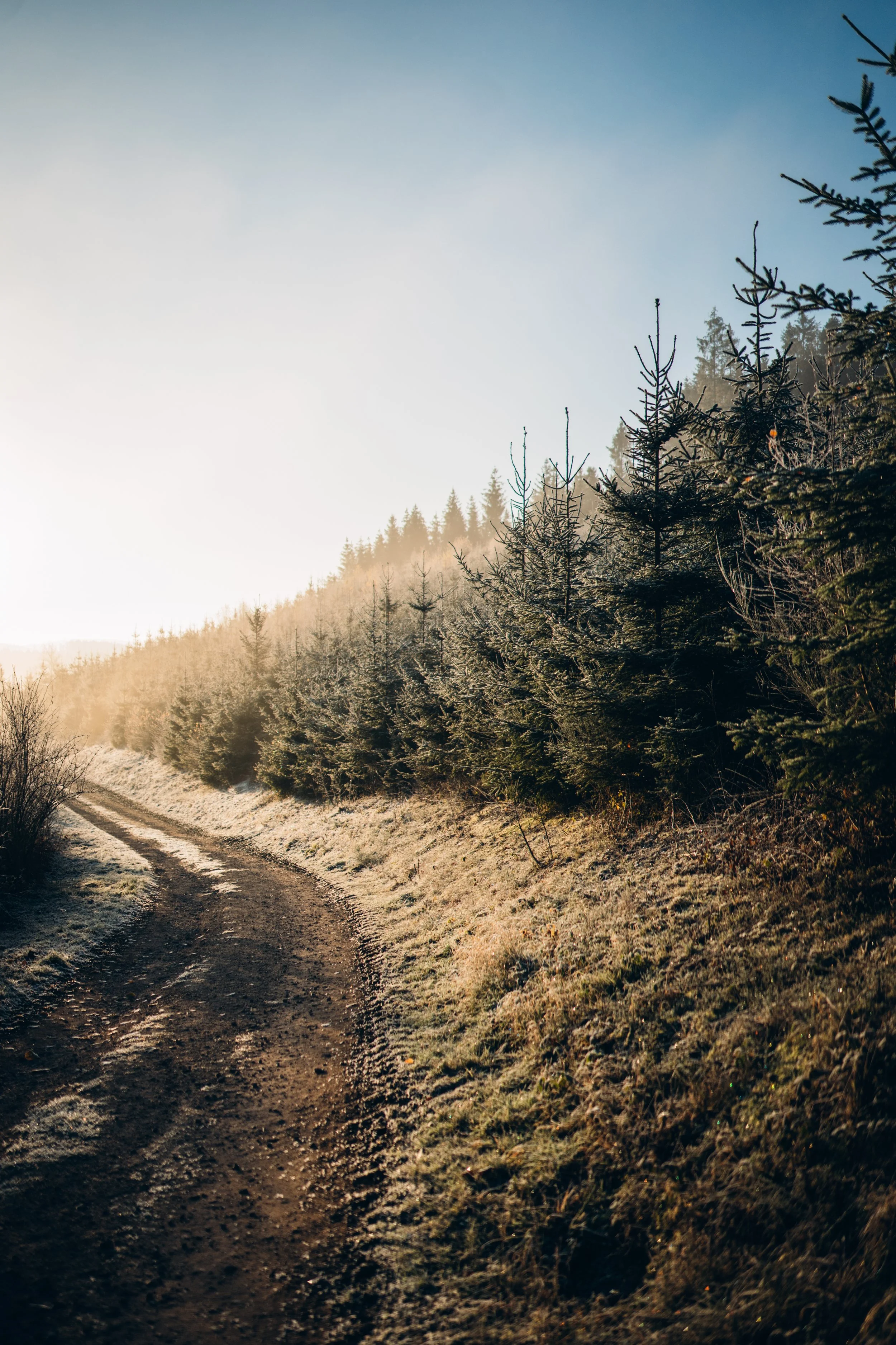 Frosty Morning-20.jpg