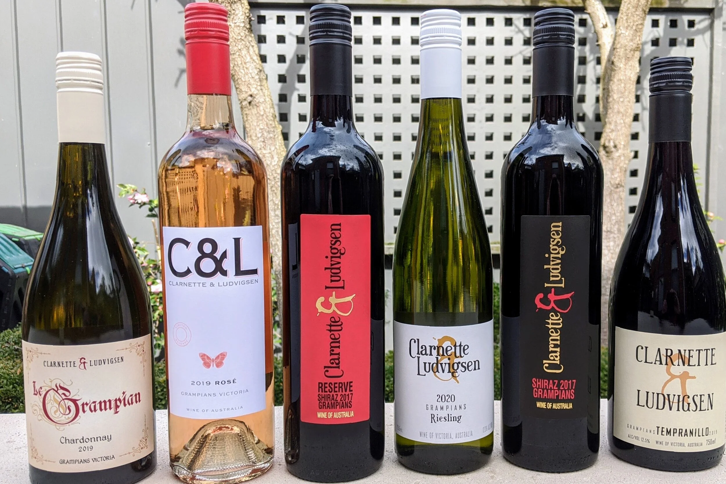 Working from Home August 2020.jpg