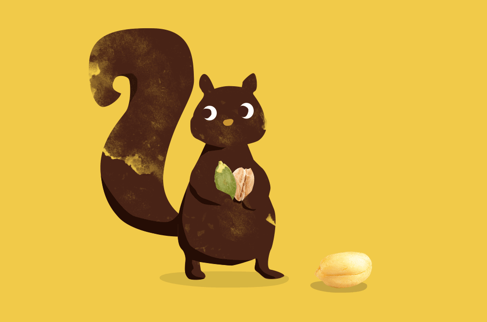 gnaw-granola-squirrel.gif