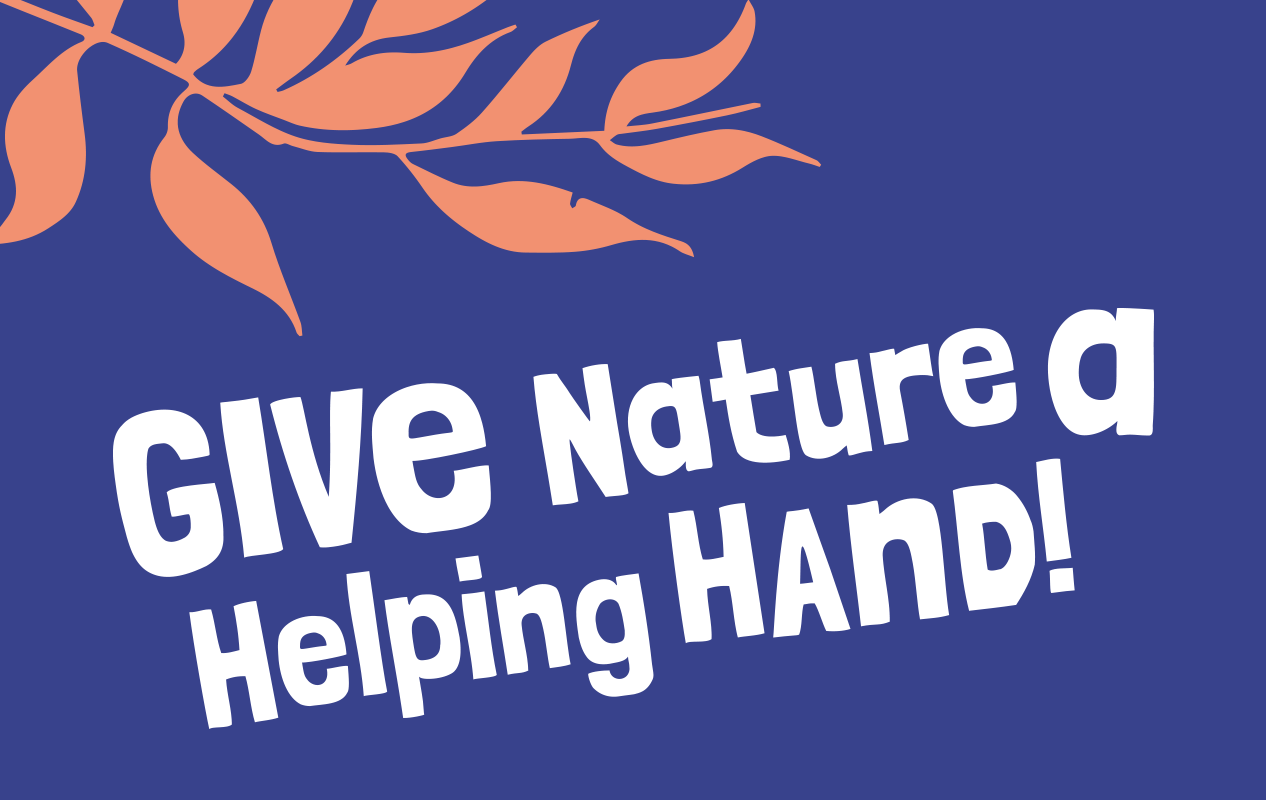 NCC-Give-Text-2.png