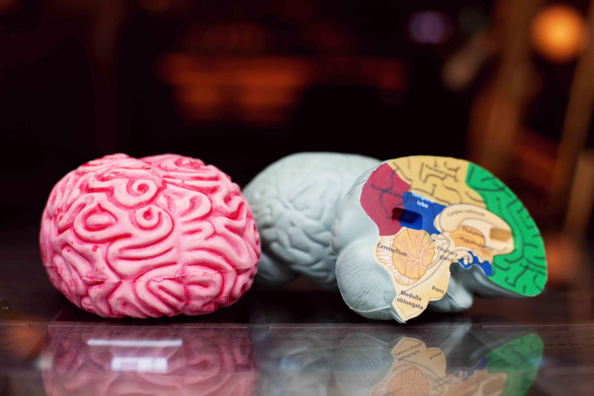 Amazing facts about the brain 