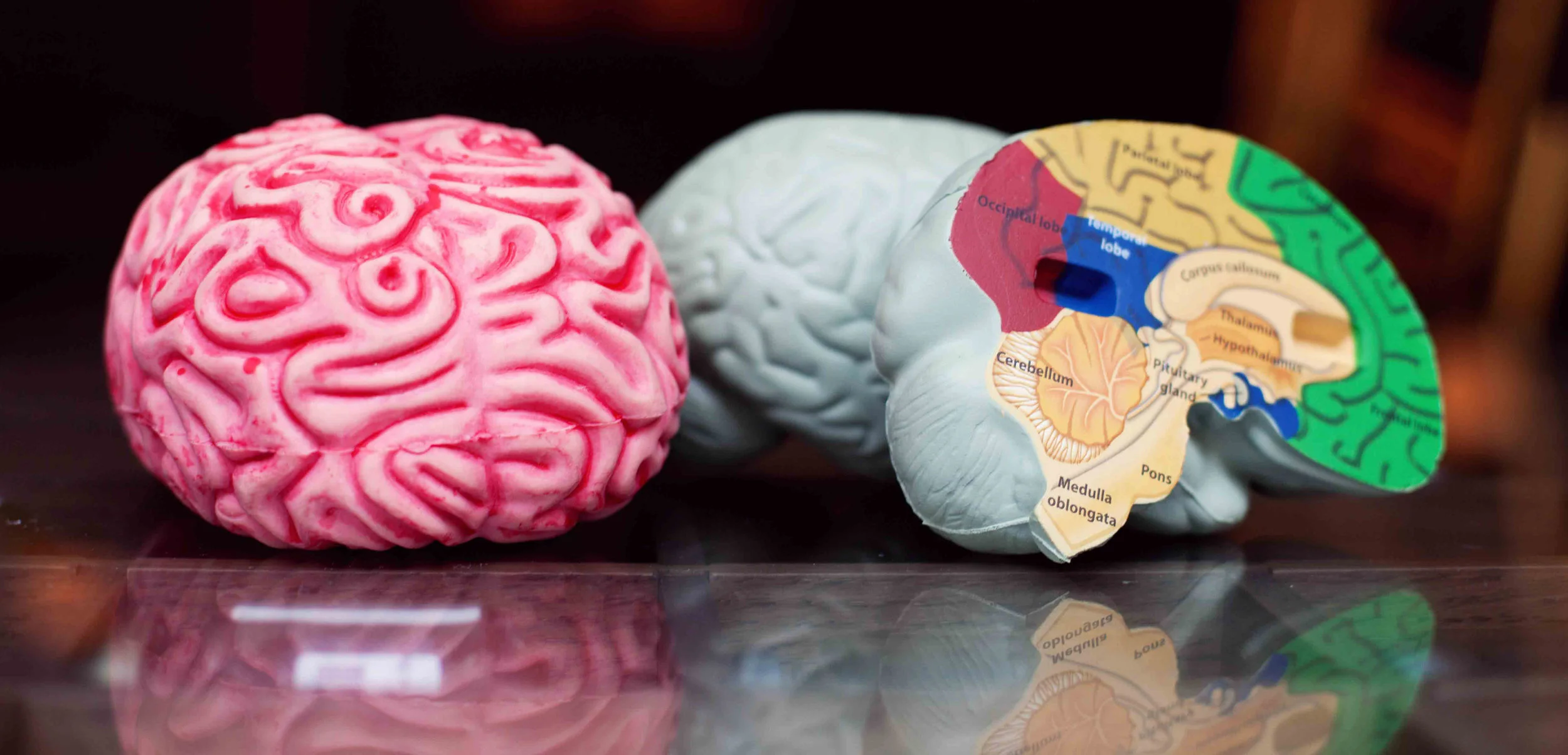BrainTrainMe-55-crop.jpg
