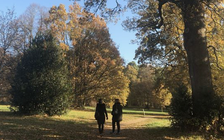 The power of being connected to others  &nbsp;