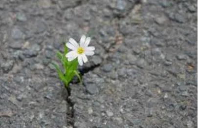 Resilience: the antidote to stress