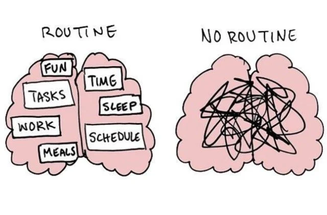 Embracing Uncertainty: Life Beyond Routines