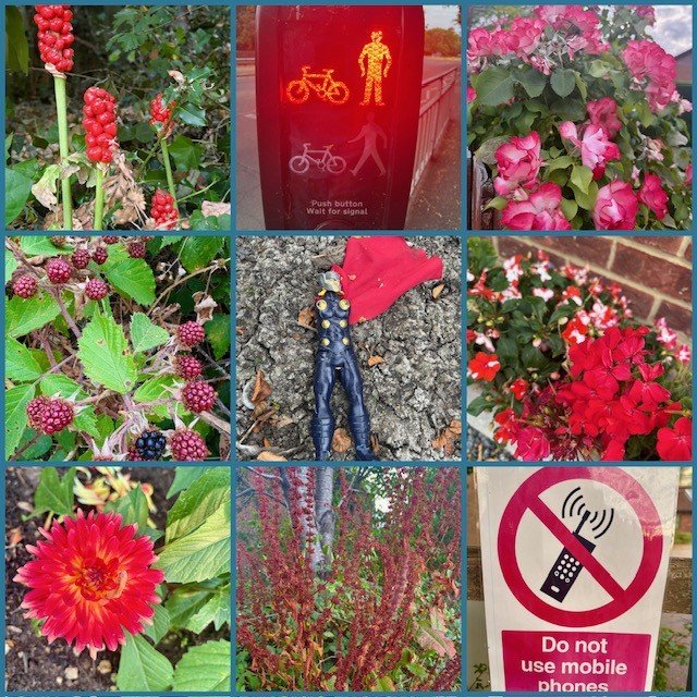 red.jpg