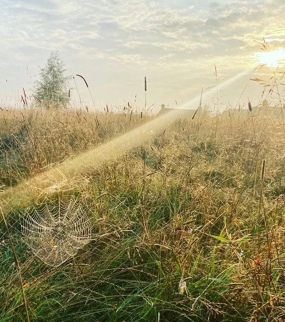 Autumn: A good time for new habits 