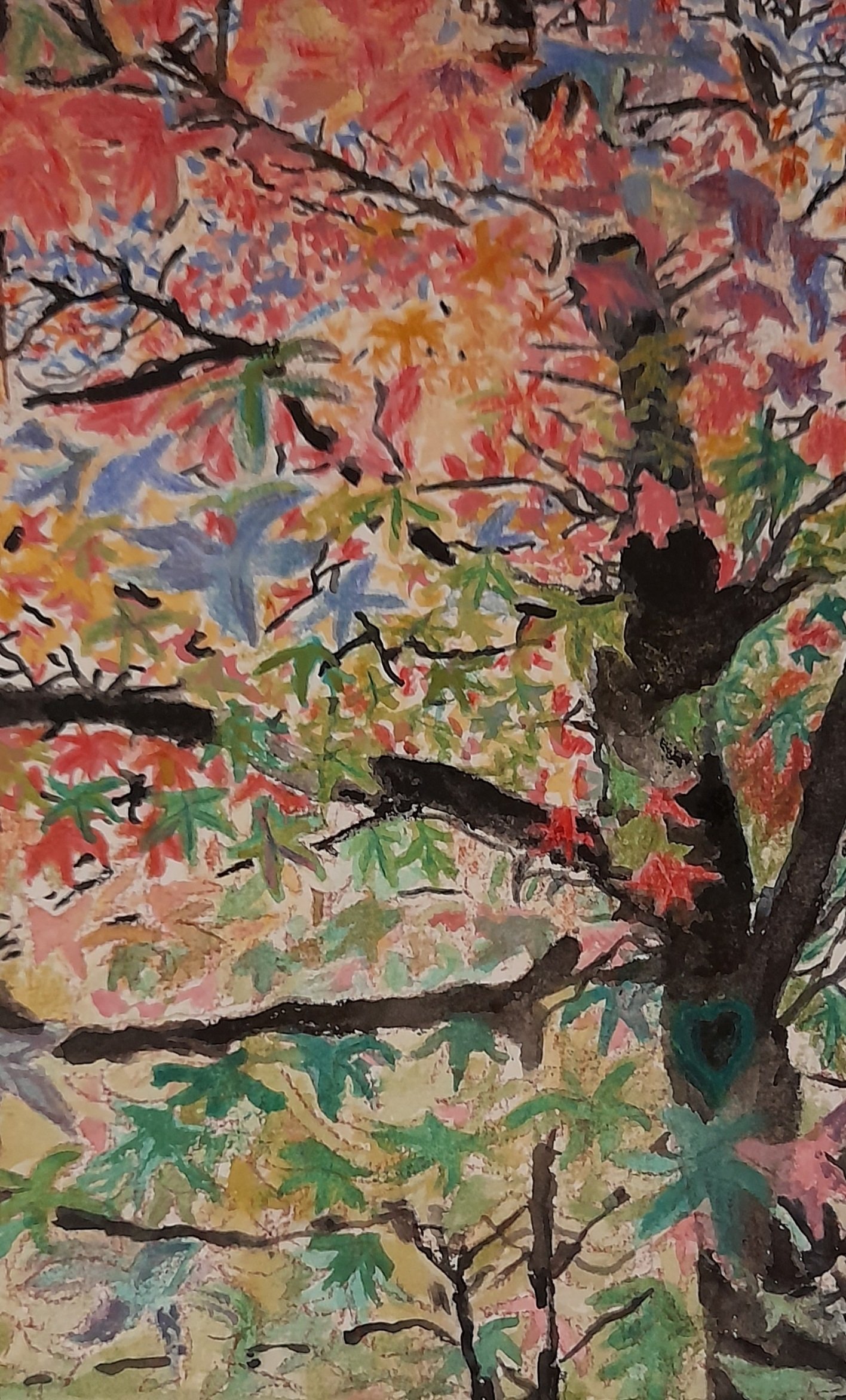 Colourful leaves tree.jpg
