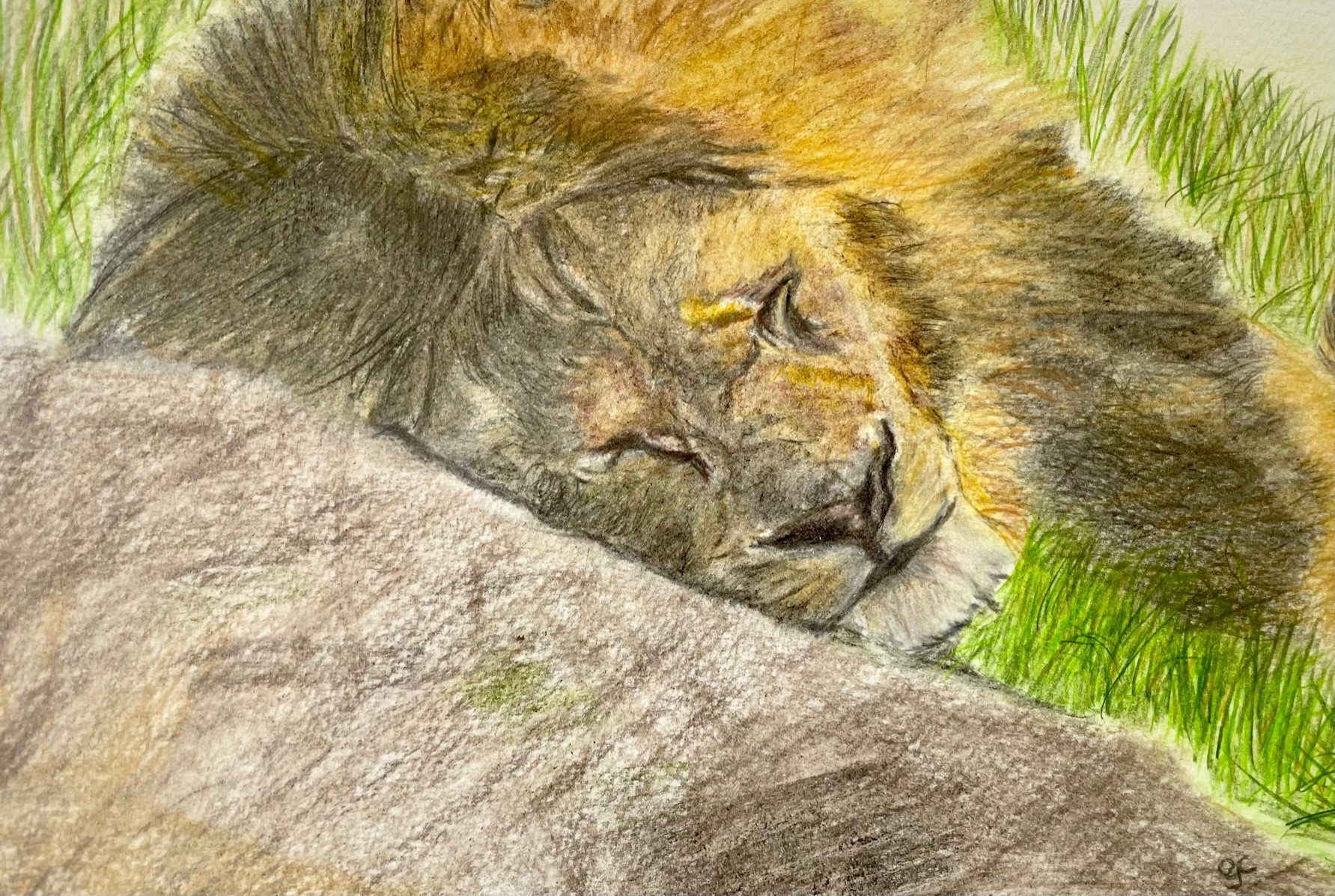 Sleeping lion.jpg