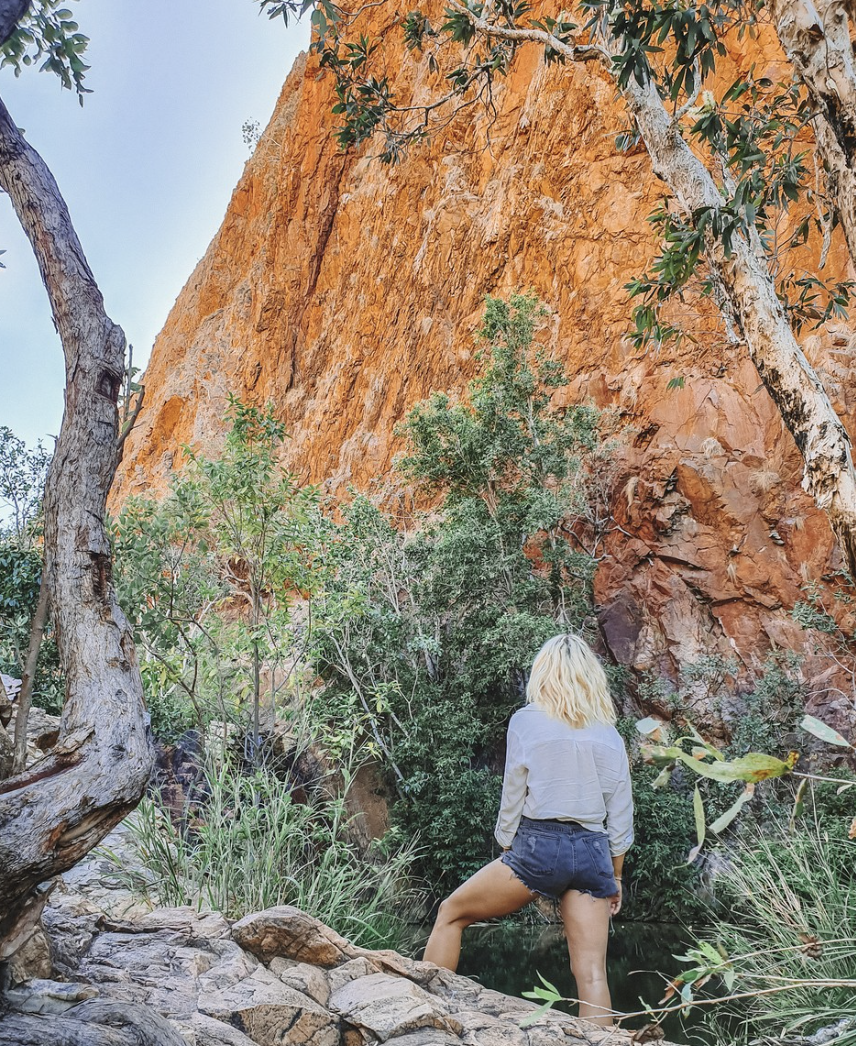 Your Guide to World Environment Day 2019