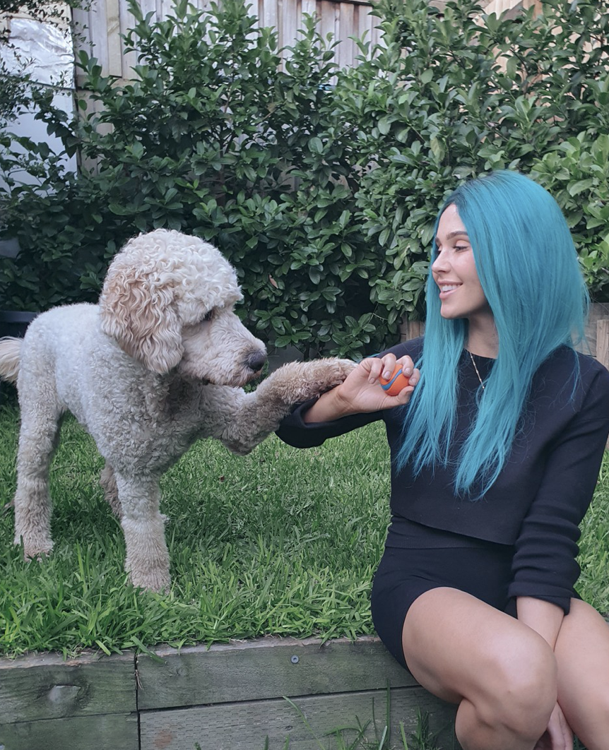 How to Stay Occupied During Social Distancing  &nbsp;