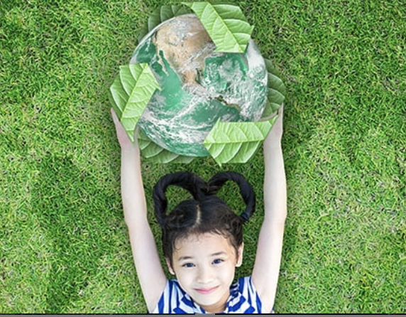 In the Spotlight: Enova Energy